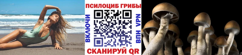 Галлюциногенные грибы прущие грибы  Купить  Орехово-Зуево 
